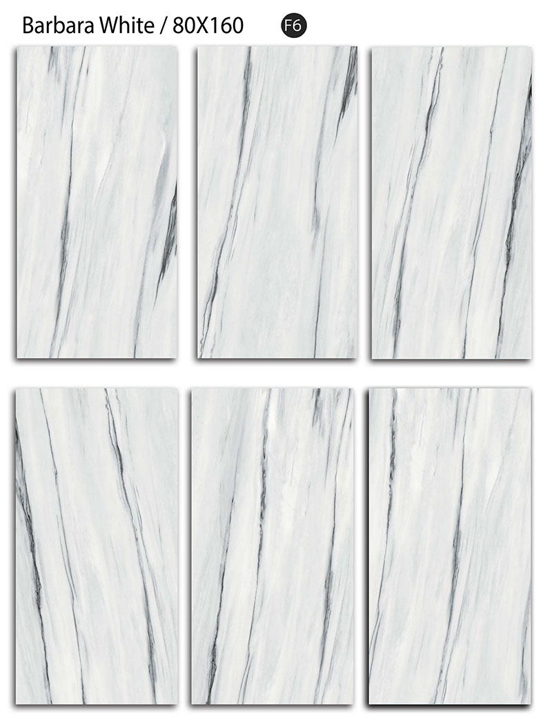 کاشی باربارا هرمس تبریز 80 در 160 پرسلان مات طرح پاندا