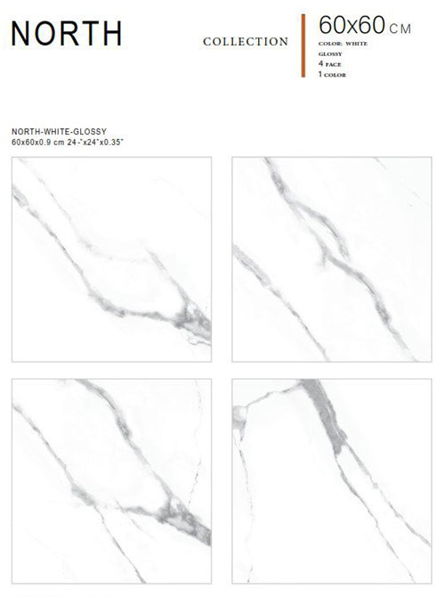سرامیک نورث الوند 60 در 60 براق - Image 3